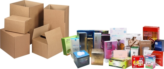 Customized Automatic side load Case Packer for carton box productfor Sale